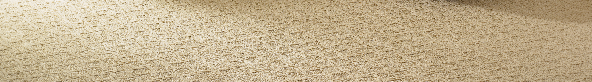 Plush cut-pile carpet in a neutral tone